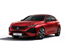 PEUGEOT 308 HATCHBACK at CAMPBELTOWN MOTOR COMPANY Campbeltown