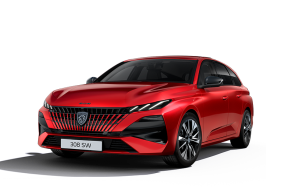 PEUGEOT 308 SW ESTATE at CAMPBELTOWN MOTOR COMPANY Campbeltown