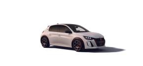 PEUGEOT E 208 ELECTRIC HATCHBACK at CAMPBELTOWN MOTOR COMPANY Campbeltown